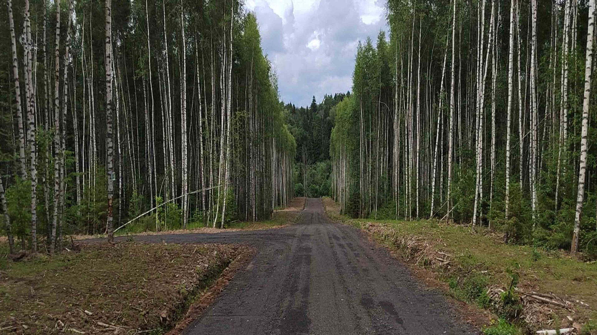 Жистелово Дмитровский район